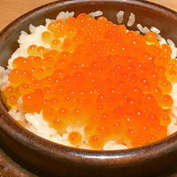 肉和食 月火水木金土日 - 