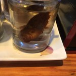 らーめん芝浜 - 卓上お酢