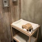 MINOH RIS CAFE - 新しくオムツ交換台を設置しました。