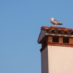 Altana, SPLENDID VENICE - ヴェネツィアの民家の煙突