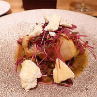 ARMONICO - 