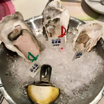 Oyster Bar ジャックポット - 