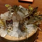 魚屋 うきうきらんらん 三鷹 - 