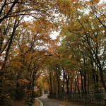 ニッカウヰスキー仙台工場 宮城峡蒸溜所 - 