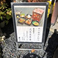 芹生 - 