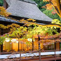 うかい鳥山 - 
