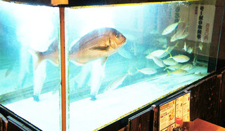 h Yakitori No Guridocchin - 大きな水槽に市場から仕入れた活魚！