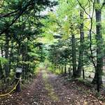 Mori no Naka no Choushoku to Cafe no Mise Cabot Cove