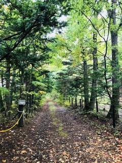 Mori no Naka no Choushoku to Cafe no Mise Cabot Cove