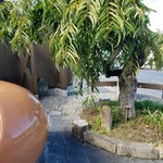 恵那川上屋 - 敷地内にある天然記念物の「枝垂栗」