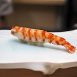 鮨 なんば - 車海老