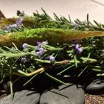 ラ・ヴァガボンド - 