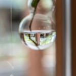 和三盆 恵菓 - 玻璃（がらす）の壺盧（へうたん）