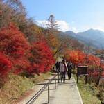 三峯山 大島屋 - 