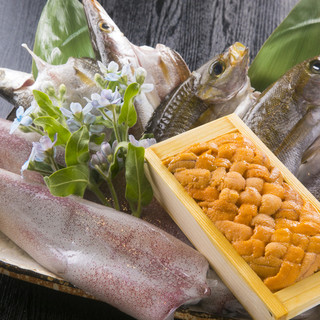 日本酒と魚串 松吉_1