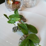 イル プレージョ - 