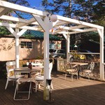 Sajilo Cafe Forest - 