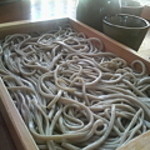 Saburobee Soba - 