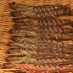 鮨 さかい - 大分　車エビ