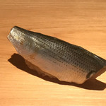 鮨 さかい - 小肌