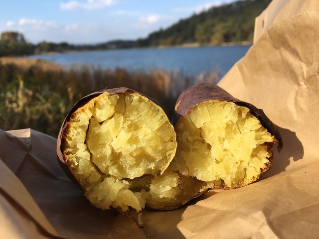 やっちゃば - 白河（その他）の写真