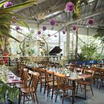 FISH IN THE FOREST TOOTH TOOTH×そら植物園