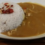 スモールワンダーランド - 薬膳カレー