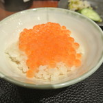 傳 - イクラご飯