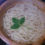 千舟屋 - 釜あげのうどんアップ