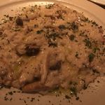 THE TAMUYA - 