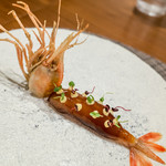 佐渡牡丹海老ブイヤベース