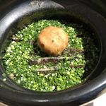 御料理 ふじ田 - 