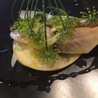 ヤマガタ サンダンデロ - 