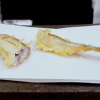 天白 - 本シシャモ　これが終わる前にもう一度伺いたい!