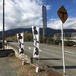 吉田のうどん さくら - 