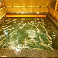 稚加榮 本店 - 