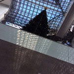 小松 弥助 - 京都駅はクリスマスツリーが❣️