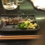 （説明なし）
