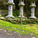 すずめ庵 - 苔が綺麗でさ…
      魅せられるのよ