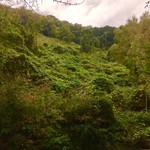 すずめ庵 - まだまだ登らなきゃなー