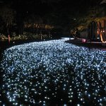 フランス料理 ル・トリアノン - ['08/11]ホテルの庭（夜景）