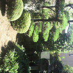 Motohashi - 日本庭園