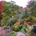 すずめ庵 - 山頂まできたら紅葉も綺麗だ