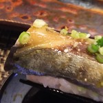 玄海鮨 - サバ  です