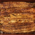 鰻はし本 - 和匠鰻の新仔鰻重