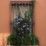 il ROMA - 住宅の窓辺