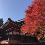 熟成豚 かわむら - 延暦寺の紅葉