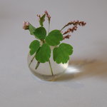 ブラッセリー ラシュレ - 