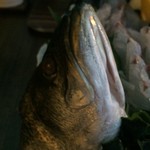 日本料理雲海山 - 