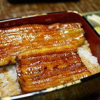 明神下 神田川 本店 - 